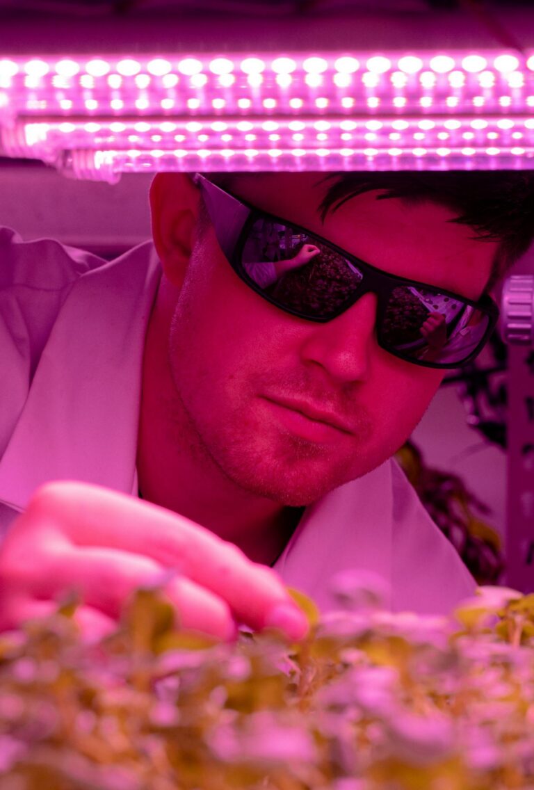 A scientist examines plants in an indoor farm using LED technology for sustainable agriculture research.
