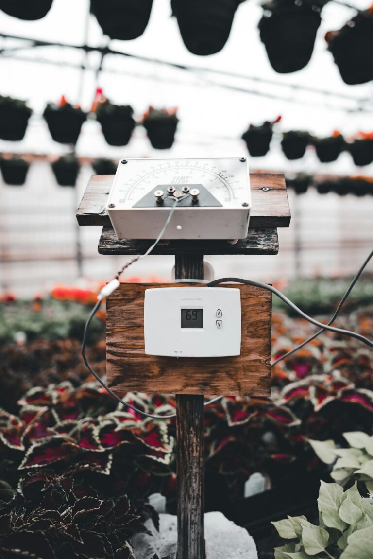 Thermostat and sensor controlling climate inside a greenhouse filled with plants.